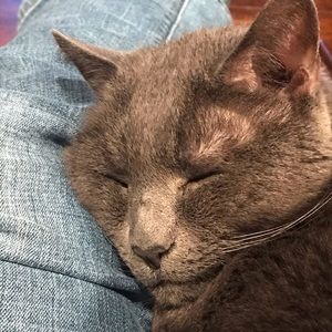 Meet your Posher, Cd